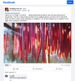 IMG_0668.jpeg