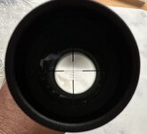 IMG_4339.jpeg IMG_4339.jpeg