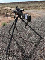 IMG_8018.jpeg