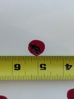 IMG_0989.jpeg