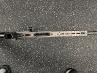 IMG_7766.jpeg