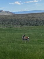 IMG_4259.jpeg