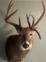 IMG_0412.jpeg