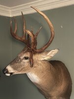 IMG_0411.jpeg