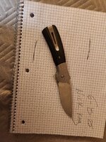 20250615_175856.jpg