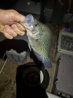 IMG_6750.jpeg