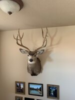 IMG_2165.jpeg