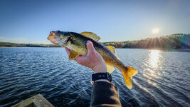 IMG_8266.jpeg