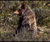 IMG_9021.jpeg