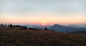 IMG_5110.jpeg