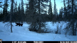 IMG_2567.jpeg