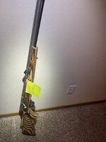 IMG_3278.jpeg