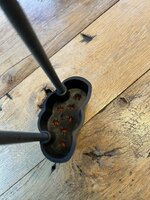 IMG_8172.jpeg