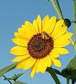 20250617_080206.jpg