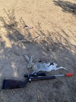 IMG_1045.jpeg