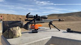 IMG_2237.jpeg
