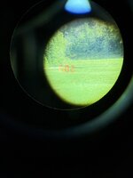 IMG_6981.jpeg