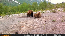 IMG_0067.jpeg