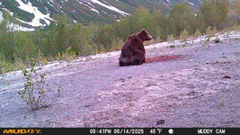 IMG_0072.jpeg