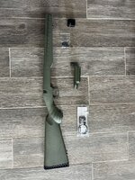IMG_1013.jpeg