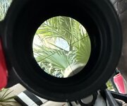 IMG_8496.jpeg