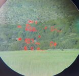 range.jpg