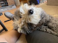 IMG_0280.jpeg