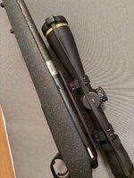 IMG_9646.jpeg
