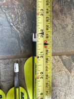 IMG_8929.jpeg