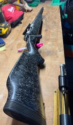 IMG_4146.jpeg