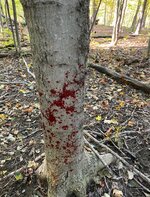 IMG_3539.jpeg