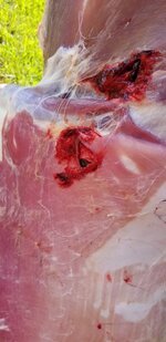 20181006_111456.jpg