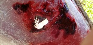 20181006_111523.jpg