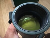 IMG_3238.jpeg