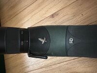 IMG_3239.jpeg