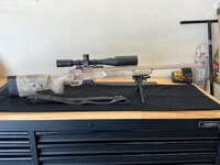 IMG_3228.jpeg
