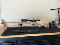 IMG_3231.jpeg