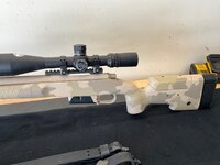 IMG_3232.jpeg