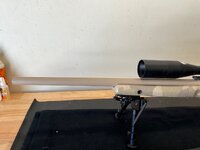 IMG_3233.jpeg