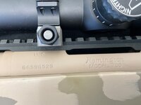 IMG_3235.jpeg