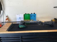 IMG_3224.jpeg
