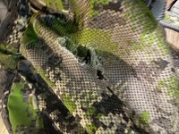 IMG_8451.jpeg
