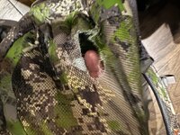 IMG_8452.jpeg