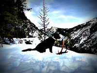thumbnail_IMG_0127-001.jpeg