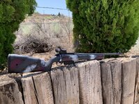 IMG_5971.jpeg