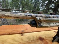 IMG_0186.jpeg