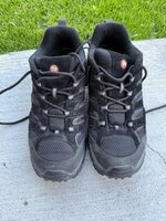 IMG_0337.jpeg
