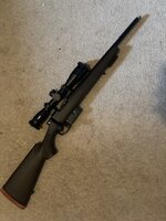 IMG_3230.jpeg