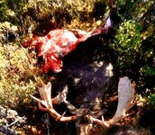 20210325_073038.jpg 20210325_073038.jpg
