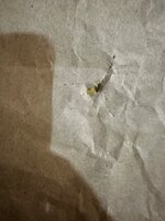 IMG_1472.jpeg